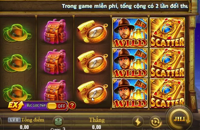 Hoa hồng hấp dẫn